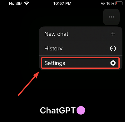 open chatgpt settings on iphone