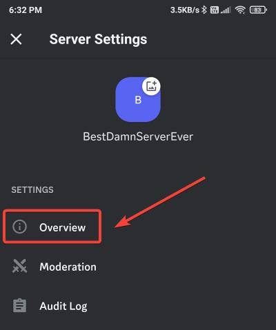 discord server overview option mobile